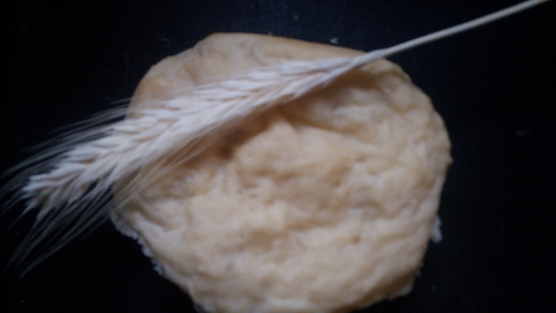 pão caseiro de trigo e mandioca
