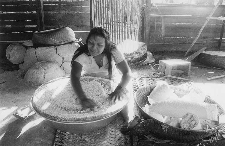 Peneirando a massa da mandioca, que foi ralada no tipiti e prensada. Comunidade Matapi, no Alto Içana. Foto: Beto Ricardo, 1997 - Site https://pib.socioambiental.org/pt/Povo:Etnias_do_Rio_Negro